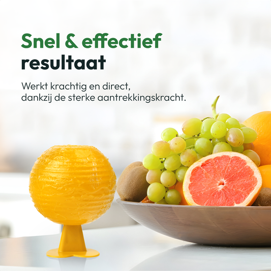 Fruitvliegjes overlast? Zo raak je ze snel en natuurlijk kwijt 🍋