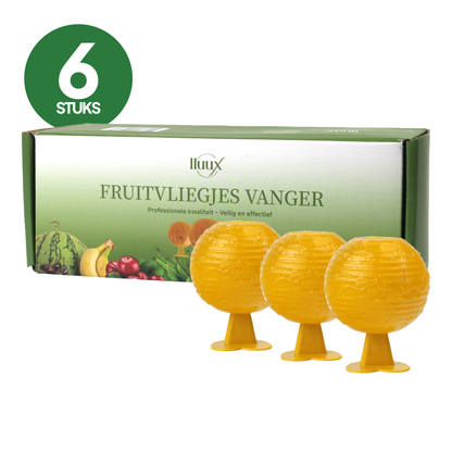 Fruitvliegjes Vanger 6 Stuks