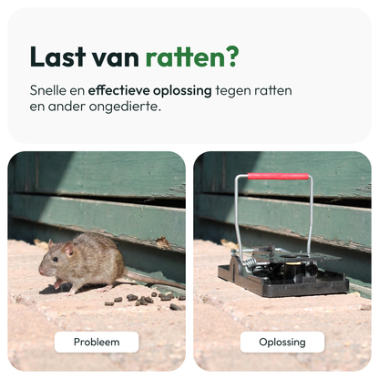 lluux - Rattenval - Rattenklem - 6 stuks