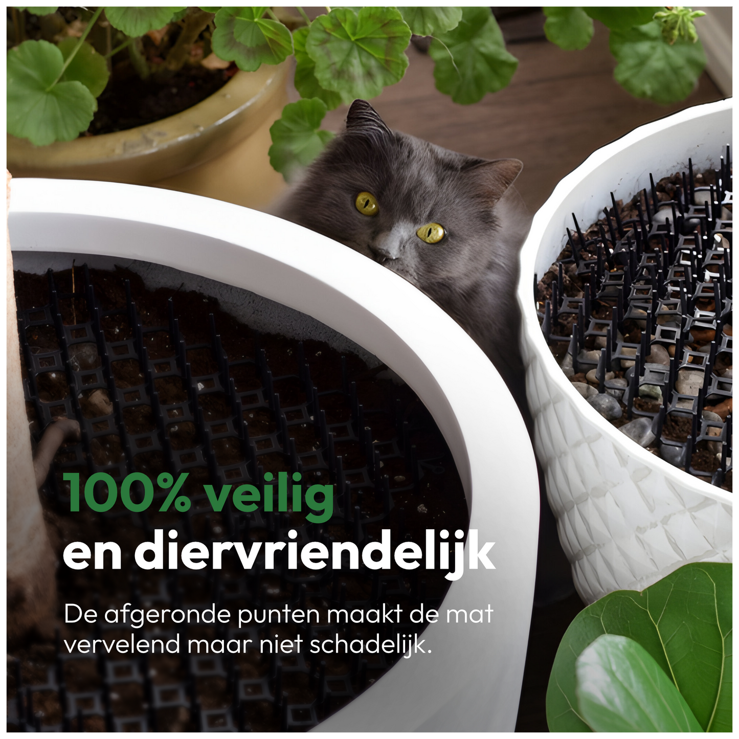 Cat Repellent for Garden 12 pieces