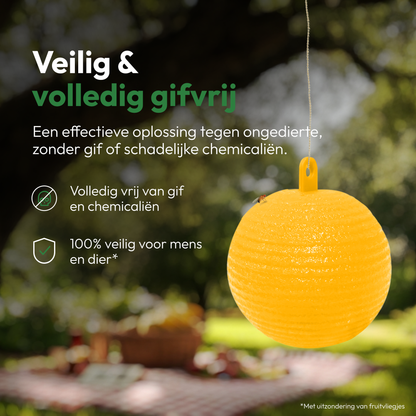 Fruitvliegjes Vanger 6 Stuks