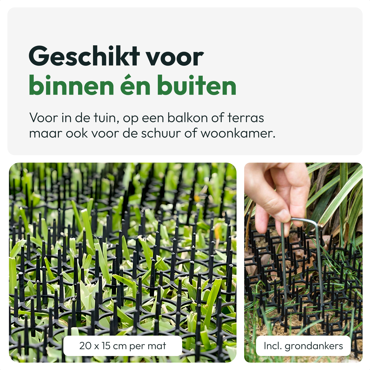 Cat Repellent for Garden 12 pieces