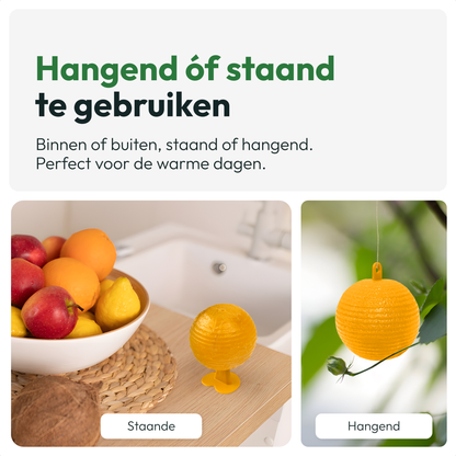 Fruitvliegjes Vanger 6 Stuks