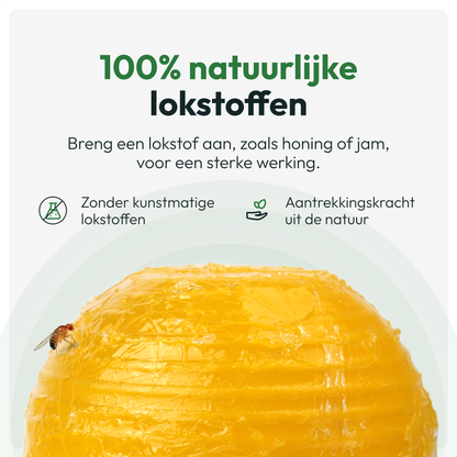 Fruitvliegjes Vanger 6 Stuks