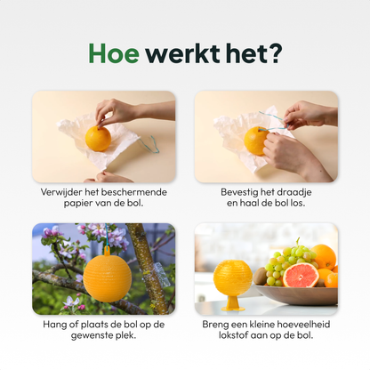 Fruitvliegjes Vanger 6 Stuks