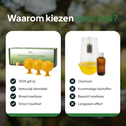 Fruitvliegjes Vanger 6 Stuks